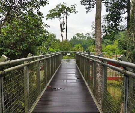Taman Negara Sungai Relau