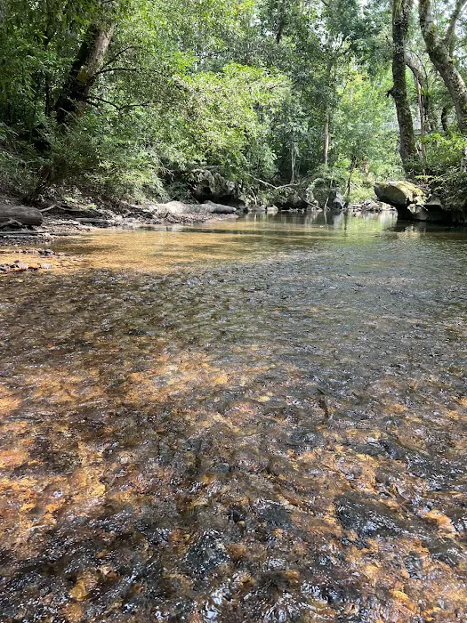 Taman Negara Sungai Relau Picture 6