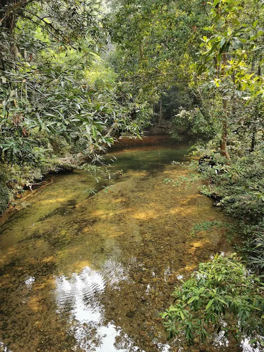 Kelah Sanctuary, Sungai Juram Picture 3