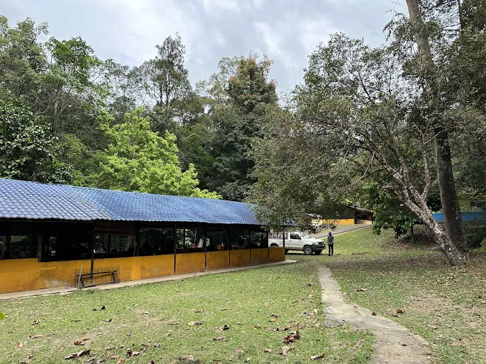 Kelah Sanctuary, Sungai Juram Picture 5