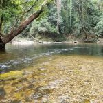 Kelah Sanctuary, Sungai Juram