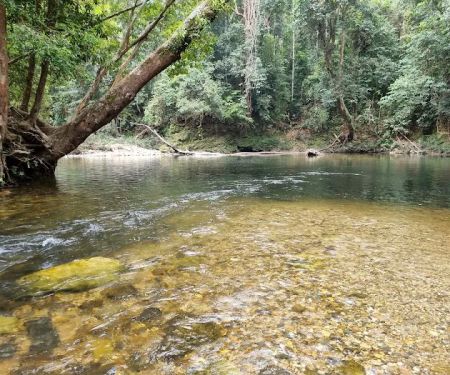 Kelah Sanctuary, Sungai Juram