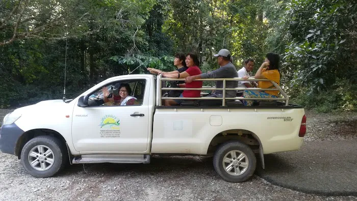 Kelah Sanctuary, Sungai Juram Picture 8