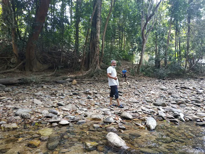 Kelah Sanctuary, Sungai Juram Picture 10