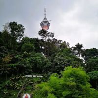 Air Terjun Bukit Nanas ico