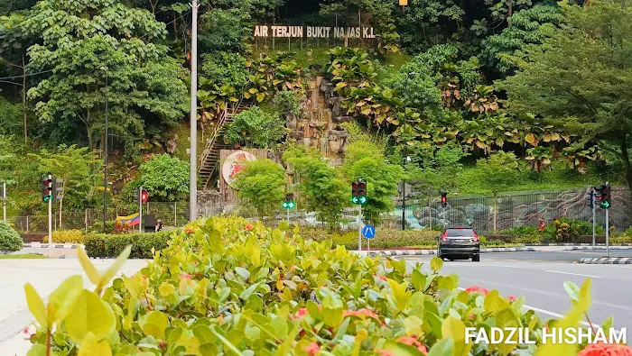 Air Terjun Bukit Nanas Picture 4