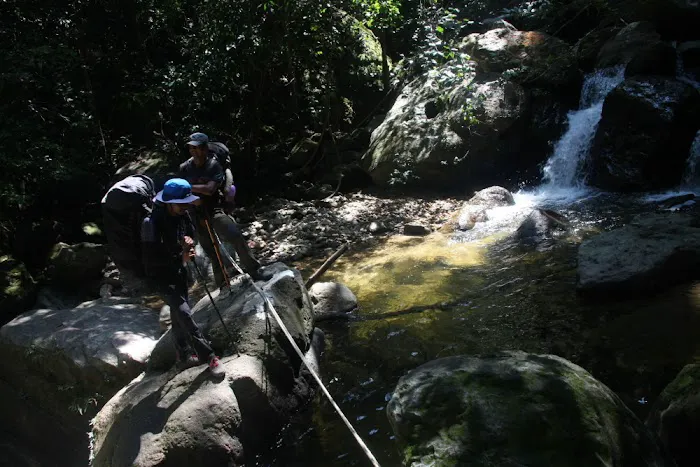 Kuala Luis Picture 4