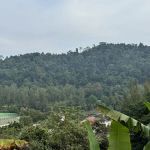 Golf Range viewpoint