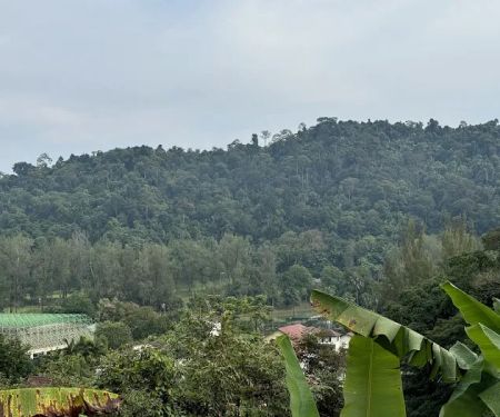 Golf Range viewpoint