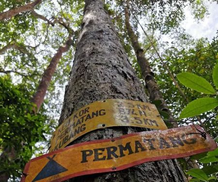 Kem Permatang
