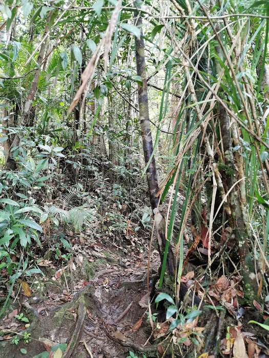 Kem Permatang Picture 6