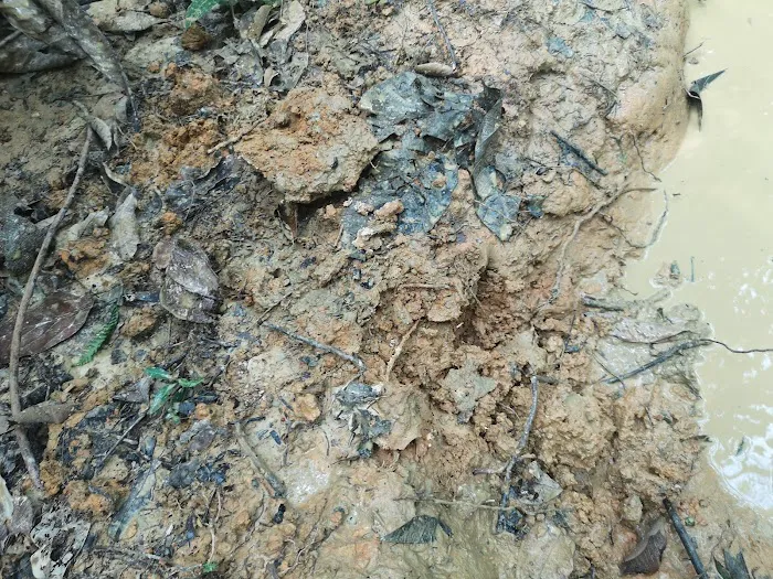 Kubang dia Picture 1
