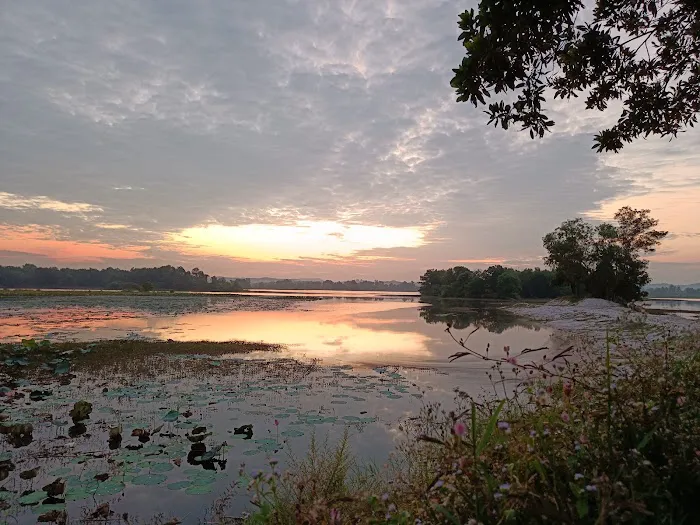 Tasik Lindungan Burung UNISEL Picture 1