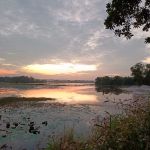 Tasik Lindungan Burung UNISEL