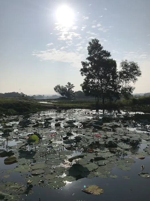 Tasik Lindungan Burung UNISEL Picture 7