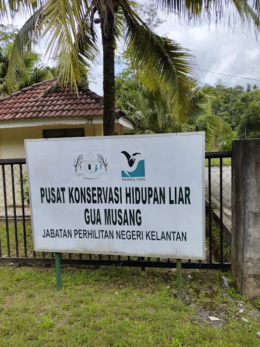 Gua Musang Wildlife Conservation Centre Picture 3