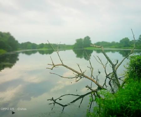 Tasik Mimpi