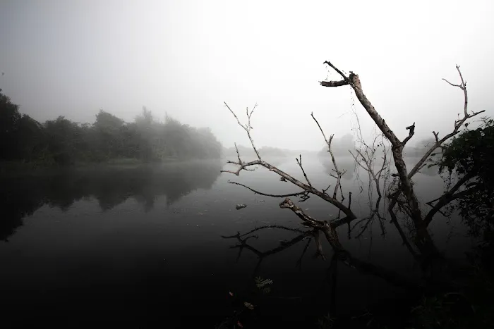 Tasik Mimpi Picture 6