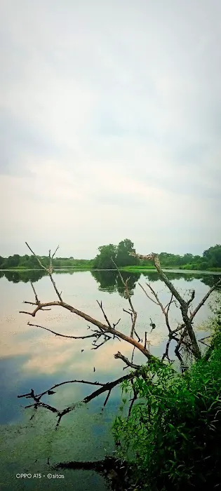 Tasik Mimpi Picture 5