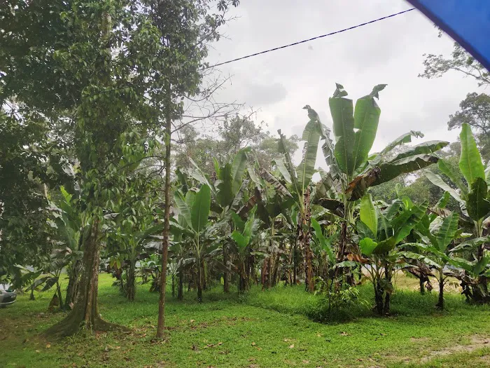 Restu Ibu Resort, Ulu Yam Picture 6