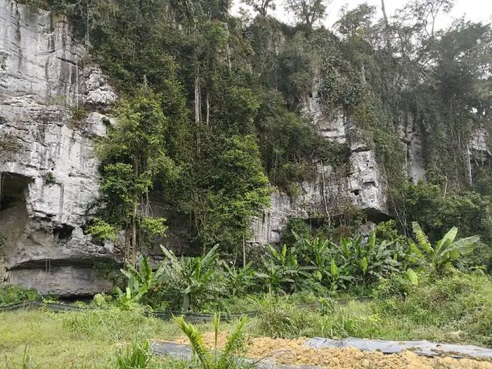Gua Bakepur Picture 2