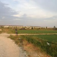 Garinia Elmina Gardens ico