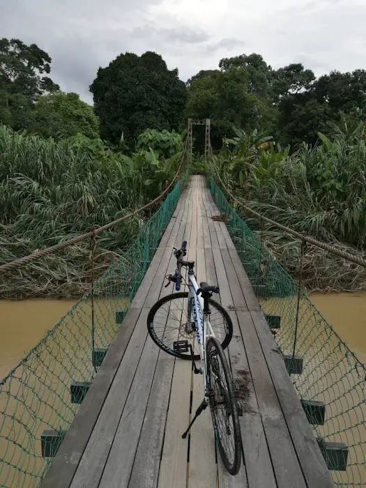 BMC - HL Hanging Bridge Picture 1