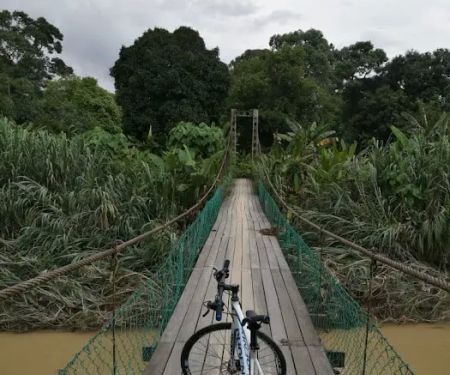 BMC - HL Hanging Bridge