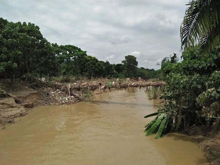 BMC - HL Hanging Bridge Picture 6