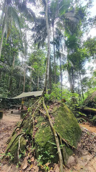 Apek Hill Station 2 Picture 2
