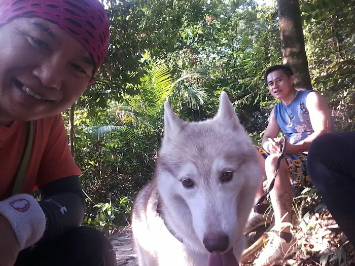 Apek Hill Station 2 Picture 6