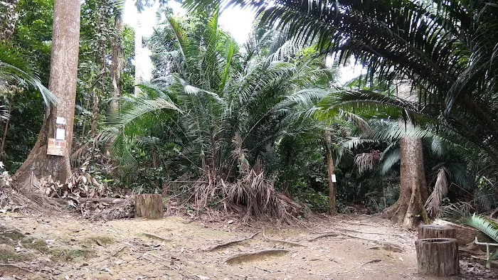 Apek Hill Station 2 Picture 1