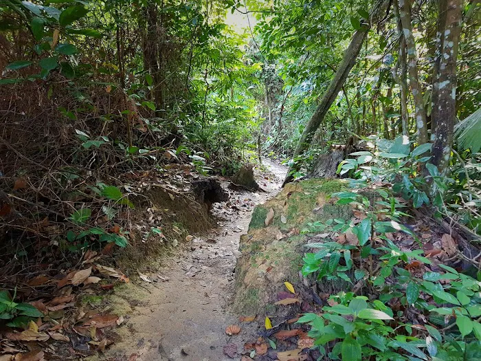 Apek Hill Station 2 Picture 10