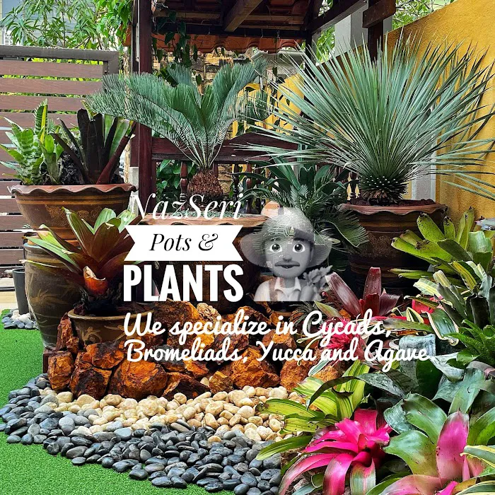 NazSeri Tropical Garden Picture 1