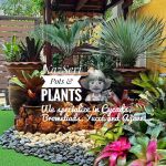 NazSeri Tropical Garden