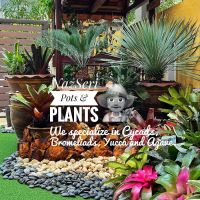 NazSeri Tropical Garden ico