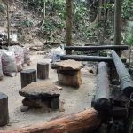 Ah Pek Hill Rock Jungle @ 石林