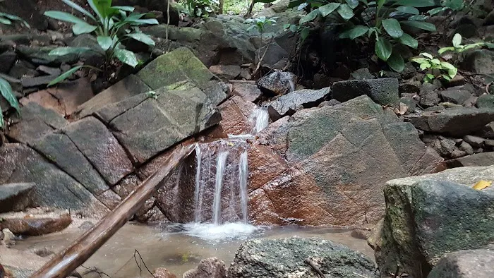 Ah Pek Hill Rock Jungle @ 石林 Picture 4