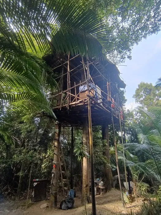 Hatamas Trail entrances Picture 3