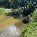 Kem Rimba Tamu