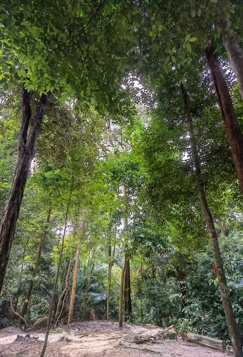 Apek Hill Station 3A Picture 4