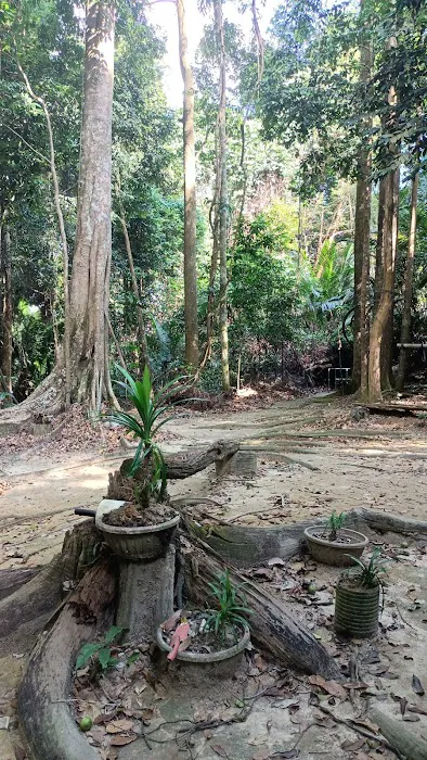 Apek Hill Station 3A Picture 8