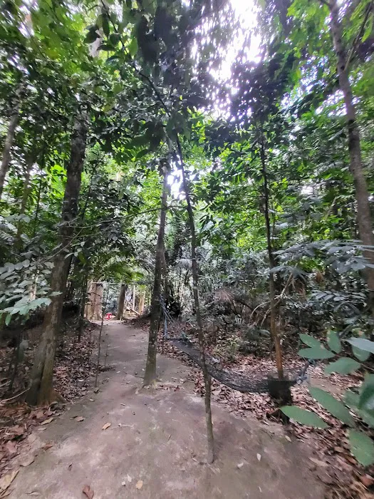 Apek Hill Station 3A Picture 7