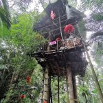 Apek Hill Station 5