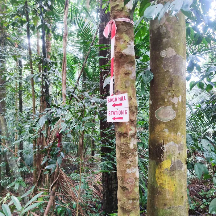 Apek Hill Station 5 Picture 4