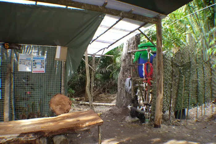Apek Hill Station 5 Picture 6