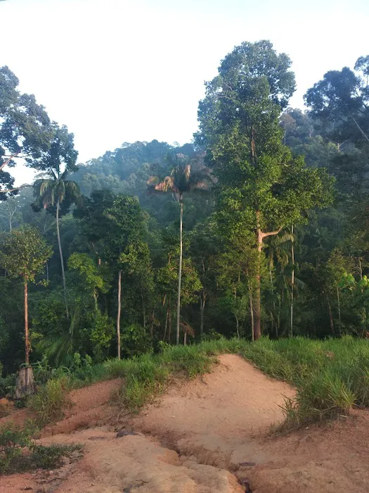 Apek Hill Station 5 Picture 8