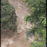 Sg. Pinang, Genting ico
