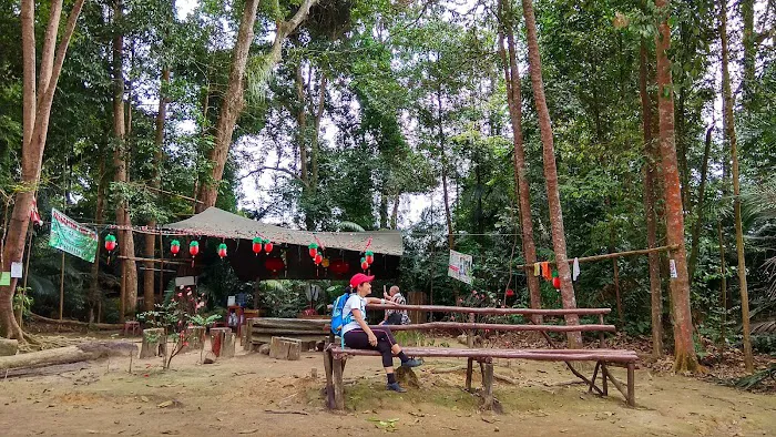 Tea station Picture 4