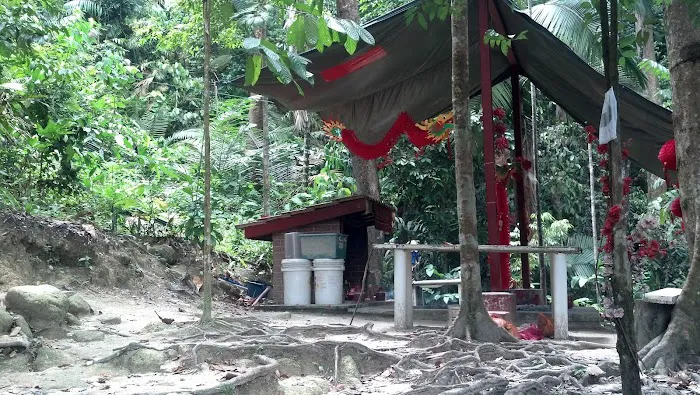 Tea station Picture 5